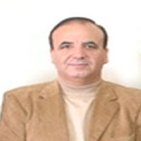 Bassem El Soyerky