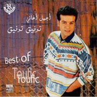 Best Of Toufic