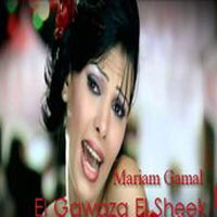 El Gawaza El Sheek