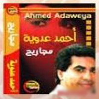 Magareeh