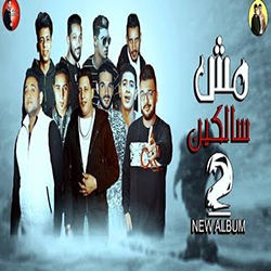 Mesh Salken 2