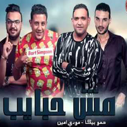 Mosh Habaib