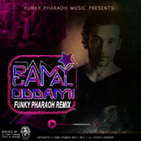 Odamy Remix