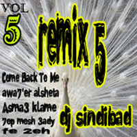 Remix 5