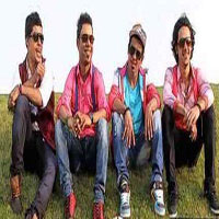 Share 3 Band