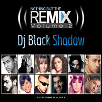 Single Remixes Vol 2