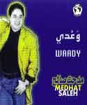 Waady