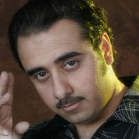 احمد الهرمي